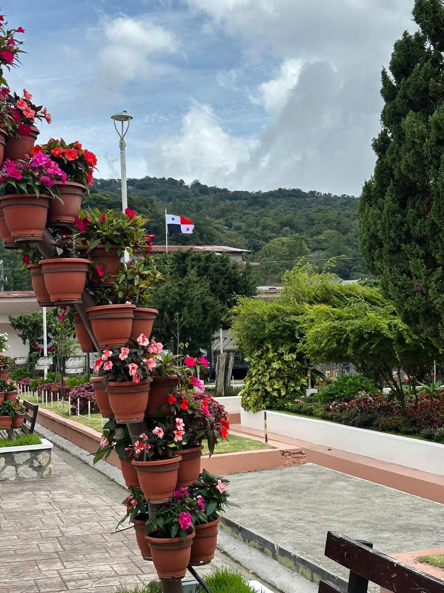 La Casa De Dona Cata Hotel Bajo Boquete Bagian luar foto